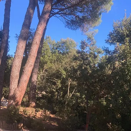 Refuge Sous Les Pins Fontarèches